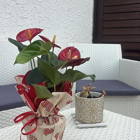 Appartamento Giardini Naxos Butterflies Home Schiso Buitenkant foto