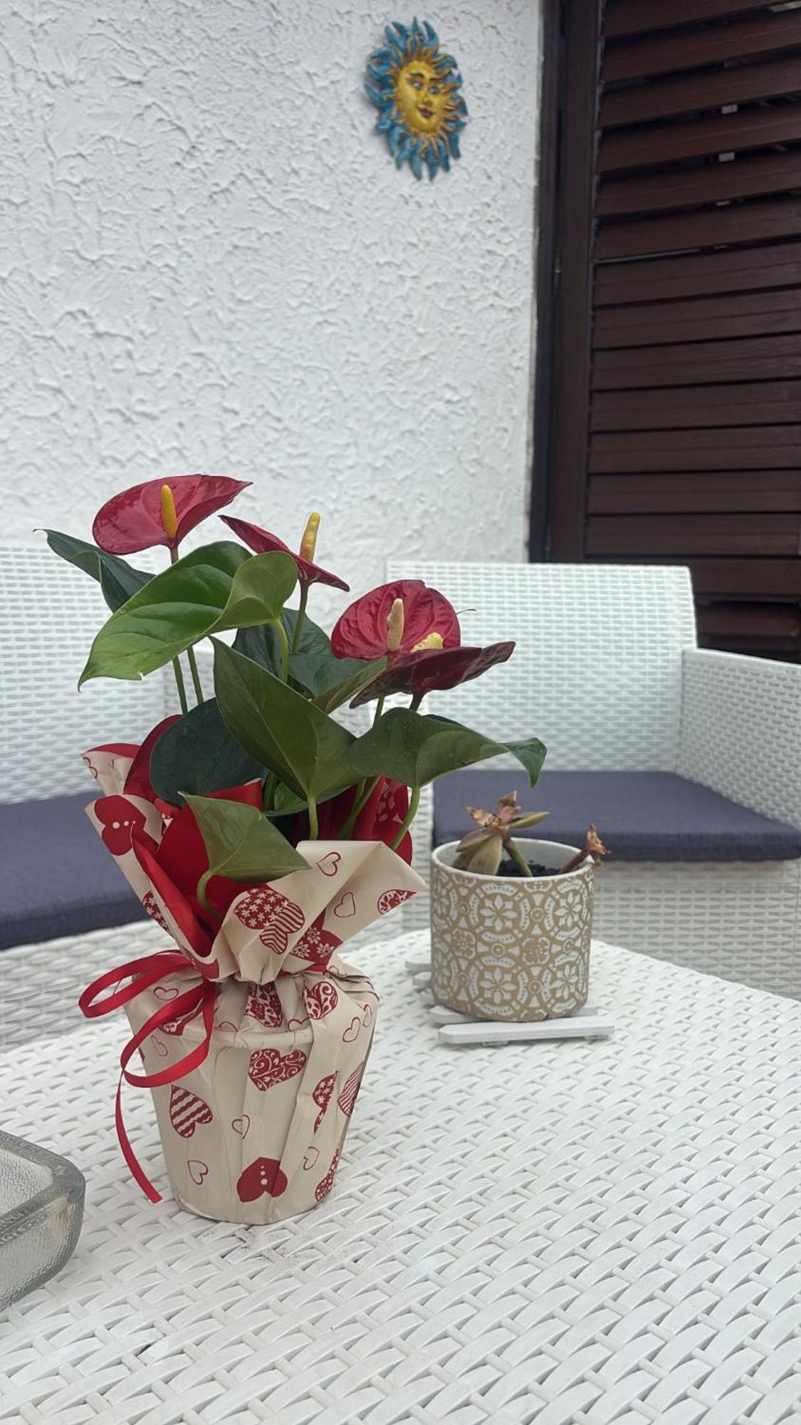 Appartamento Giardini Naxos Butterflies Home Schiso Buitenkant foto